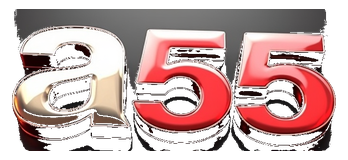 a55 logo